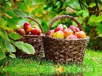 Jesień, Kosz, Jabłka, Liście
