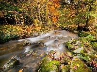 Las, Jesień, Rzeka