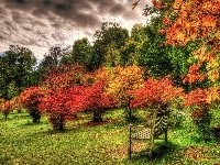 Jesień, Park