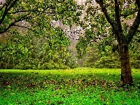 Jesień, Park