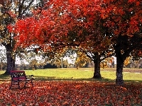 Park, Jesień, Ławeczka