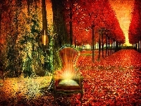 Park, Jesień, Krzesło