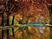 Park, Jesień, Rzeka