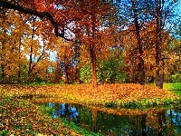 Park, Jesień, Staw