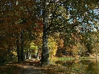 Park, Jesień, Staw