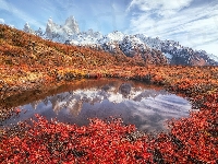 Góry Andy, Patagonia, Argentyna, Kałuża, Szczyt Fitz Roy, Roślinność, Jesień, Odbicie, Kolorowa