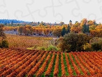 Jesień, Pola
