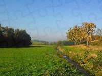 Strumyk, Jesień, Drzewa