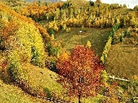 Wzgórze, Jesień, Lasy