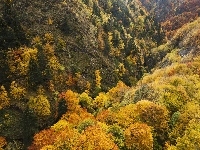 Zalesione, Jesień, Góry