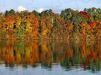 Jesieni, Odbicie, Kolorowe, Barwy, Jezioro