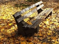 Jesienne, Park, Ławka, Liście