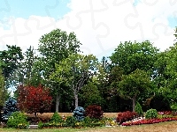 Jesienne, Park, Drzewa, Niebo