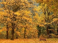 Las, Jesienny, Ławeczka