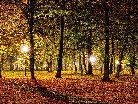 Park, Jesienny, Oświetlenie