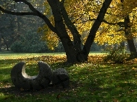 Park, Jesienny, Rzeźba