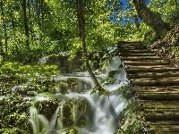 Park Narodowy Jezior Plitwickich, Roślinność, Drewniane, Las, Mech, Chorwacja, Wodospad, Schodki