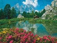 Kwiaty, Jeziorko, Góry