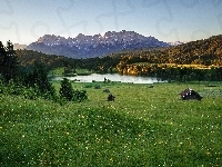 Jeziorko, Szałasy, Góry, Lasy, Łąka