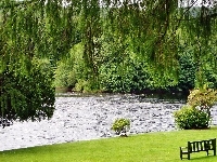 Ławka, Park, Jeziorko, Zieleń