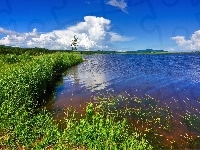 Łąka , Jezioro, Chmury