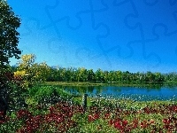 Łąka, Jezioro, Las