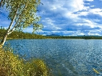 Jezioro, Brzozy