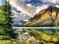 Jezioro, Góry, Chmury, Choinka
