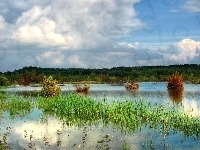 Jezioro, Chmury