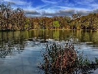 Jezioro Lac Neyton, Francja, Dagneux, Drzewa
