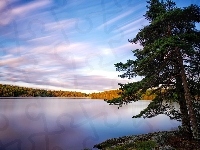 Drzewa, Jezioro Källtorpssjön, Szwecja, Jesień
