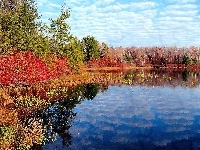 Jezioro, Jesień, Drzewa, Odbicie