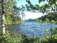Drzewa, Jezioro, Maine