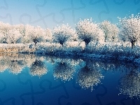 Jezioro, Niebo, Drzewa, Zima