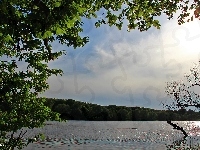Drzewa, Jezioro, Niebo