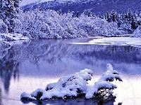 Drzewa, Jezioro, Śnieg