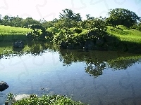 Drzewa, Jezioro, Odbicie