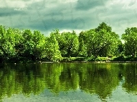Drzewa, Jezioro, Odbicie