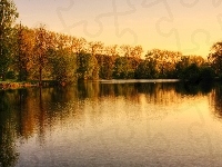 Drzewa, Jezioro, Park