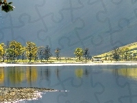Drzewa, Jezioro, Szopa