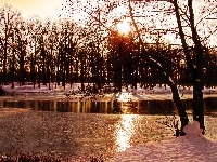 Drzewa, Jezioro, Zima
