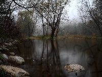 Drzewa, Jezioro, Zmierzch