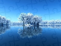 Jezioro, Las, Zima, Drzewo, Odblask