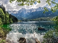 Góry, Jezioro, Drzewa