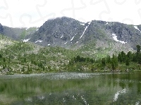 Góry, Jezioro, Drzewa