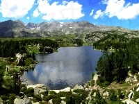 Góry, Jezioro, Drzewa