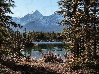Góry, Jezioro, Las