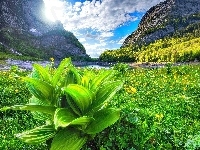 Jezioro, Wschód słońca, Góry, Łąka
