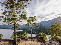 Jezioro Borovoe, Sosny, Kazachstan, Góry, Drzewa
