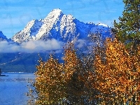 Jezioro, Góry, Las, Grand Teton